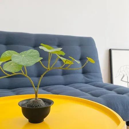 Apartello Modern In Downpark